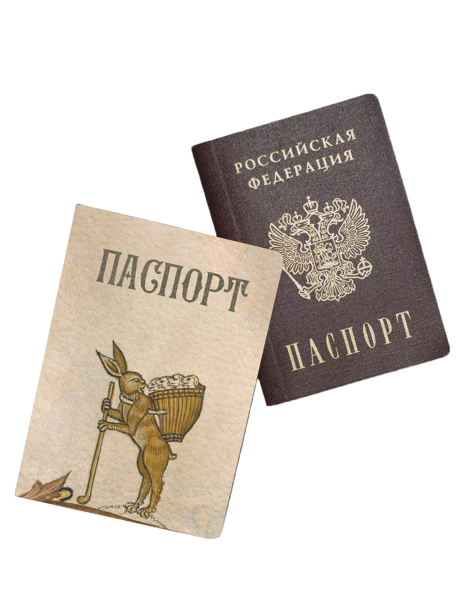Обложка для паспорта 