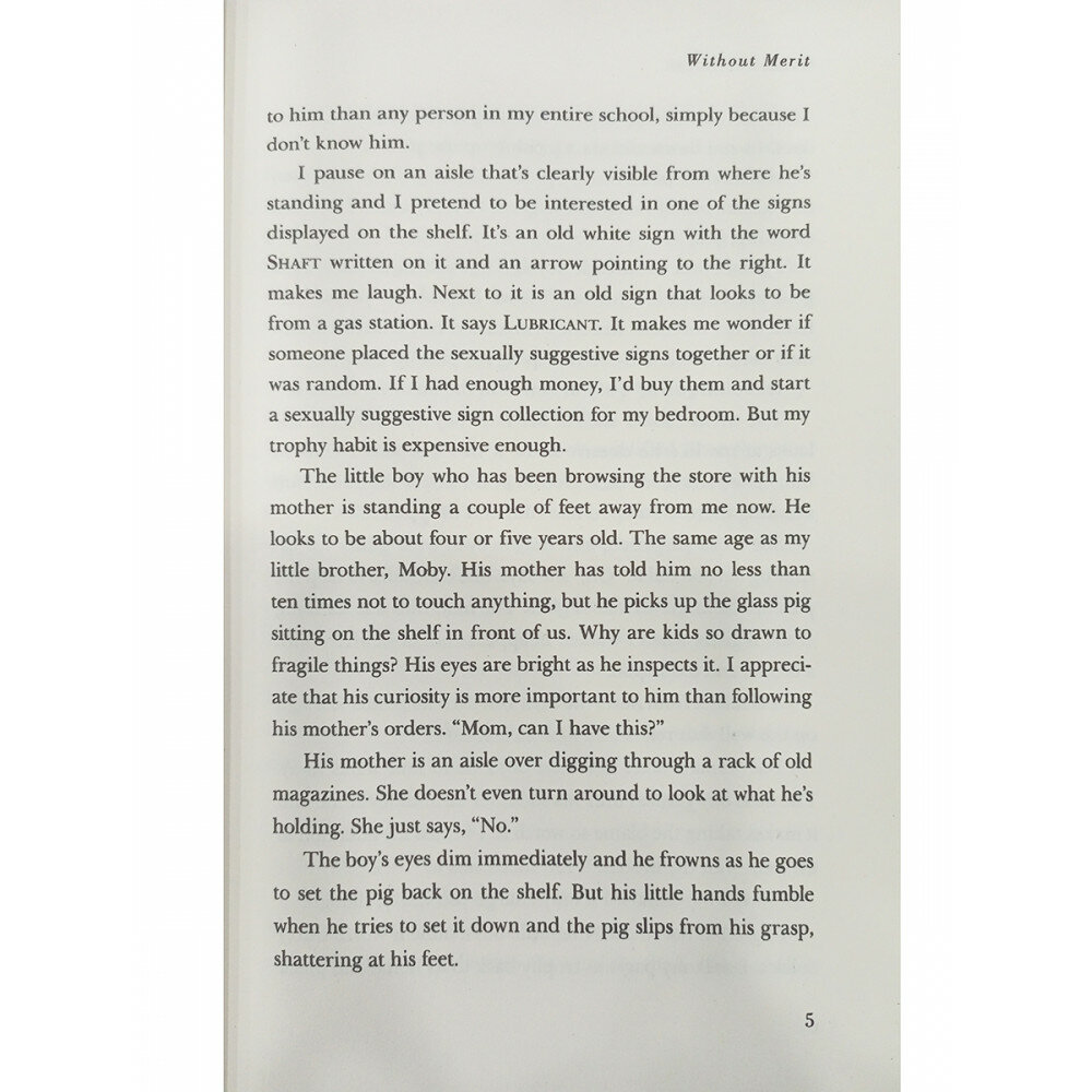 Книга Without Merit (Collins Hoover) - фото №7