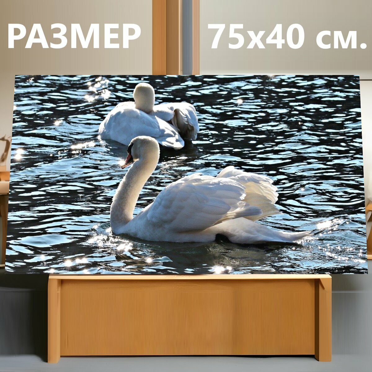 Картина на холсте "Лебедь, лебеди, водоплавающая птица" на подрамнике 75х40 см. для интерьера