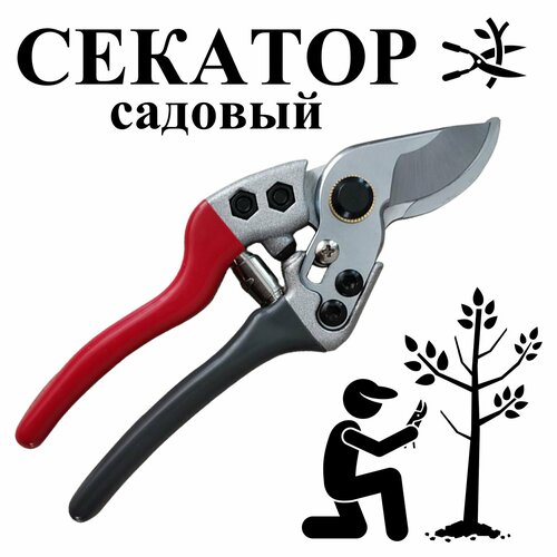 Секатор садовый профессиональный для роз и кустарников