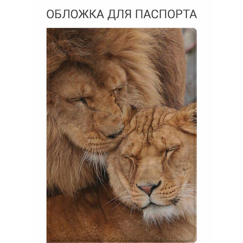 фото Обложка для паспорта elole design, белый, желтый