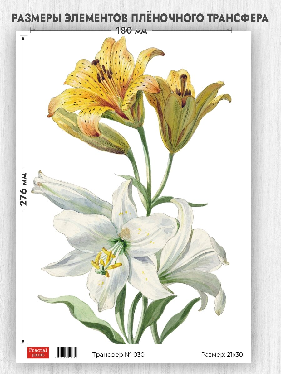 Трансфер для декупажа переводной рисунок для поверхностей 030 (А4)