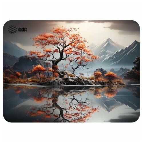 Коврик для мыши Cactus Lake 400x300x3мм (CS-MP-PRO18XL) разноцветный
