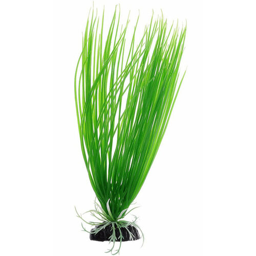 Растение для аквариума пластиковое Акорус зеленый, BARBUS, Plant 007 30 см