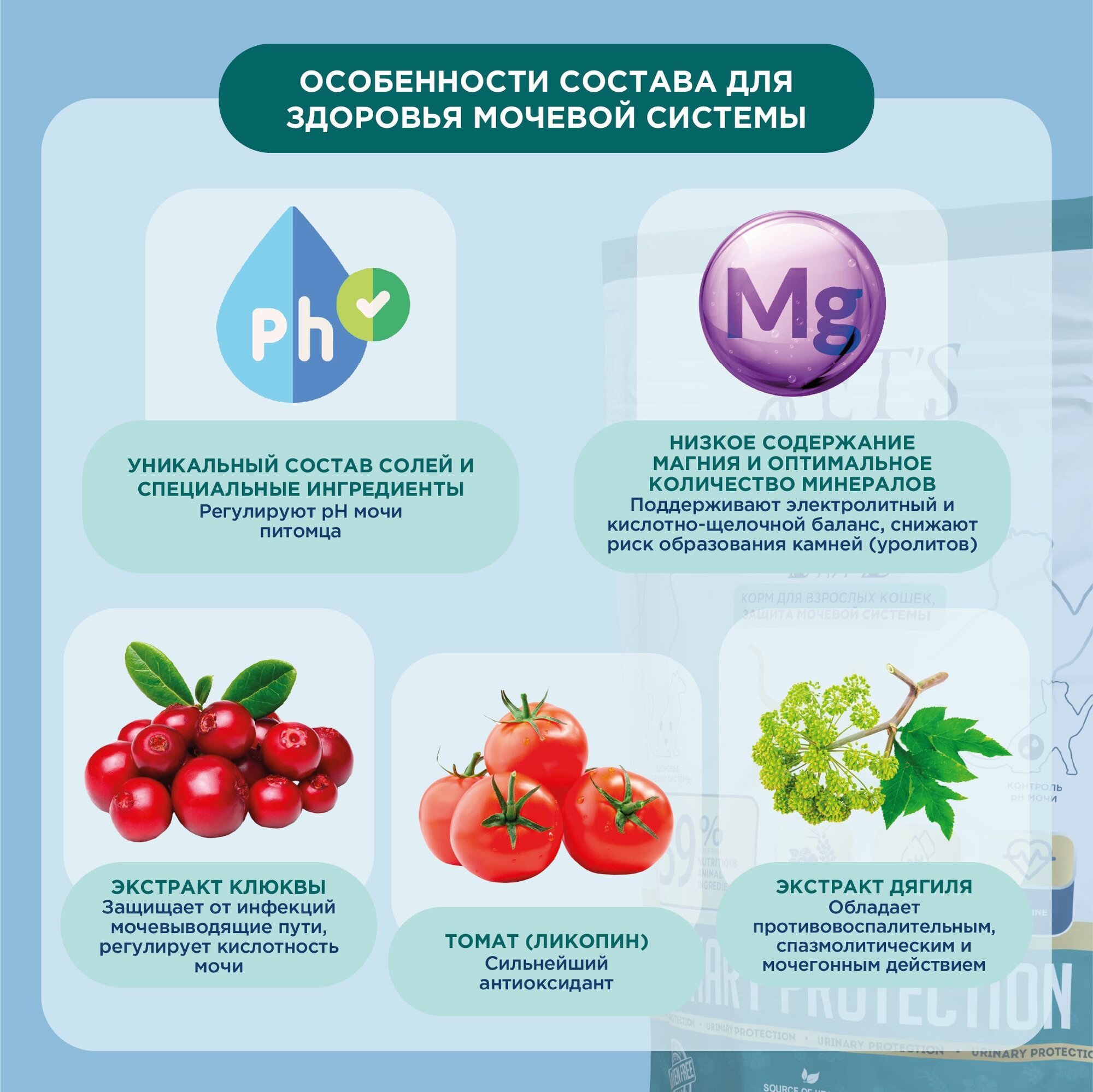 Сухой корм PET'S BRUNCH Urinary Protection, для взрослых кошек с МКБ, курица, 400 г — фото 1