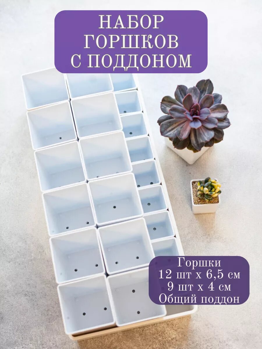 Горшки Garden Emili, для кактусов и суккулентов, 21 шт, белые, с поддонами