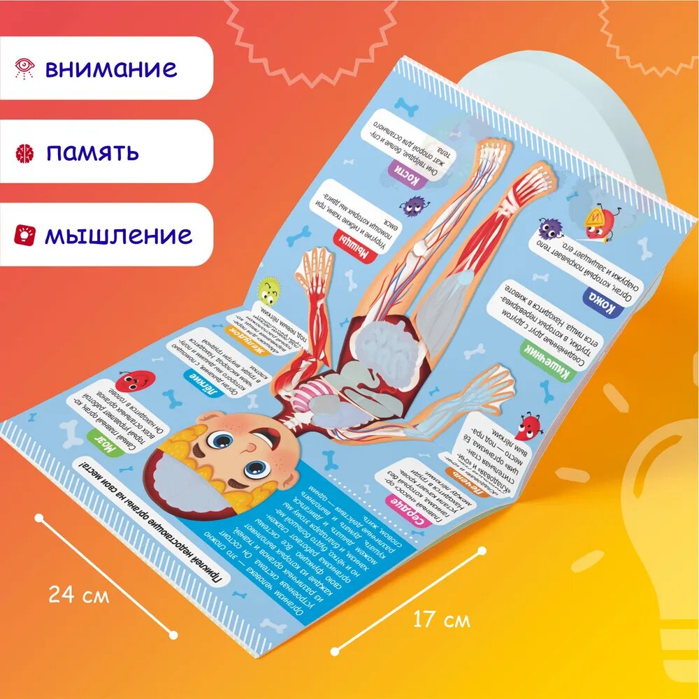 Наклейки детские "Как устроено мое тело" книжка 16 стр, БУКВА-ЛЕНД — фото 1