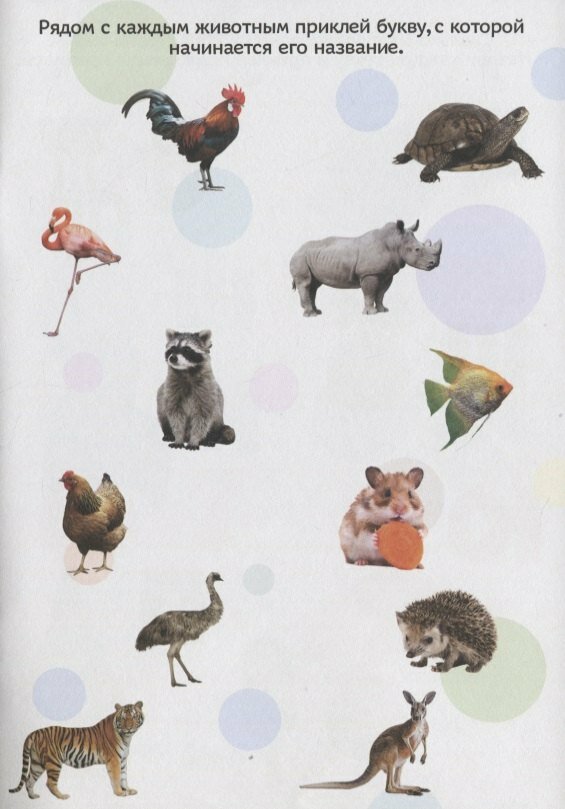 Алфавит — фото 1