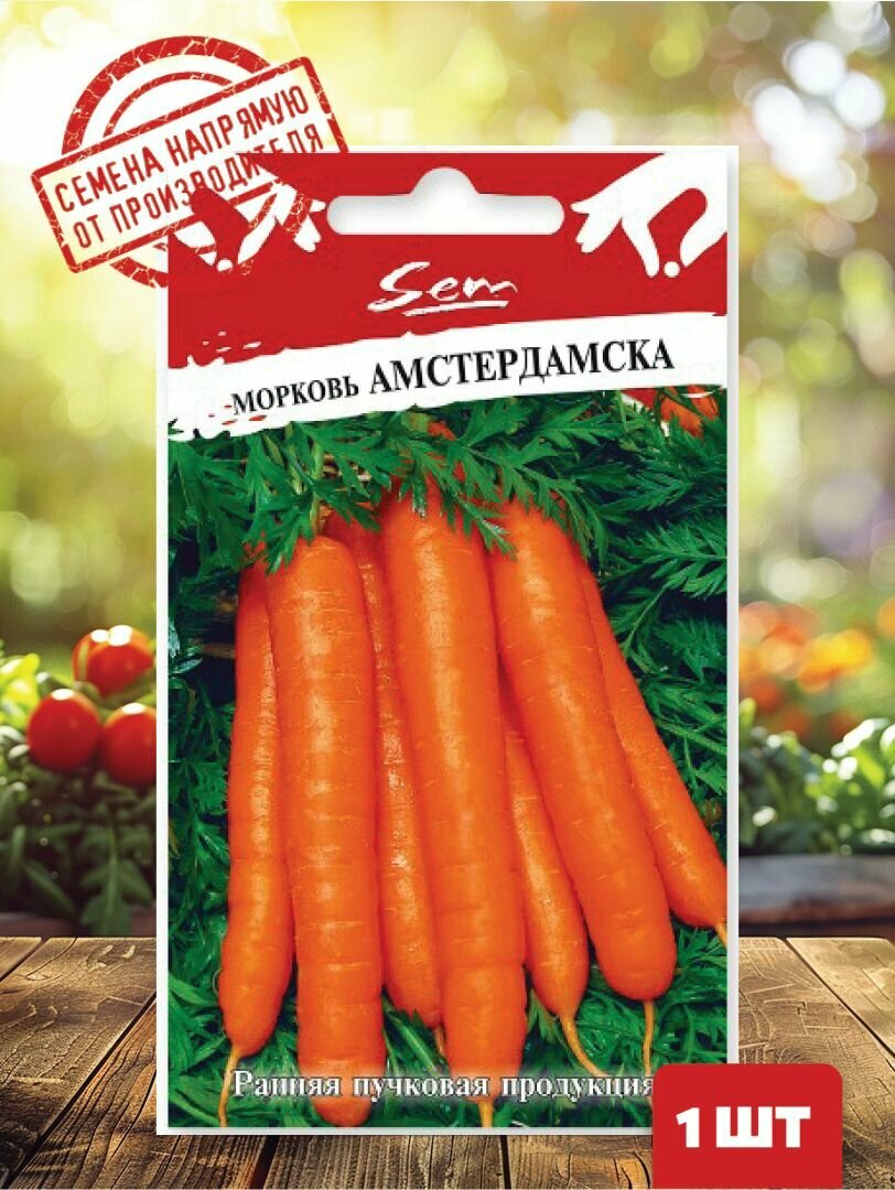 Семена Морковь Амстердамска