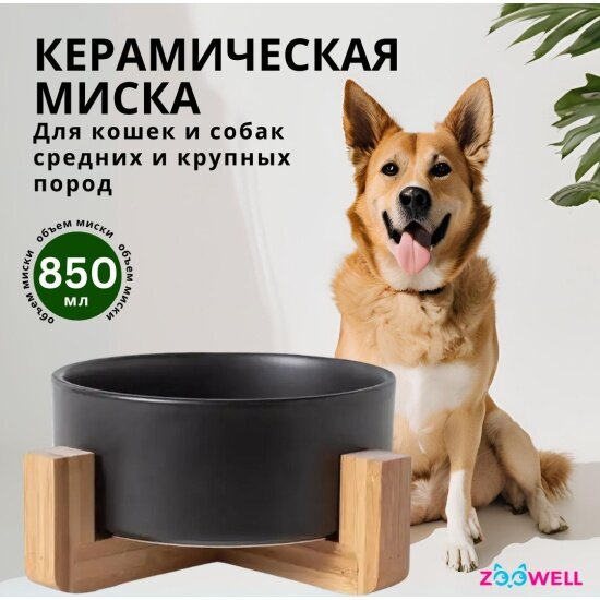 Миска Zoowell Aura 850 мл, керамическая, одинарная, для корма и воды, на подставке, для животных, черный (ZWbowl12)