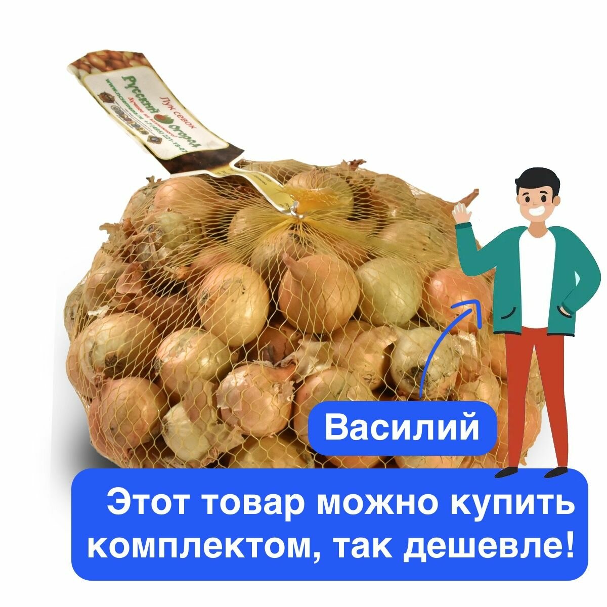 Лук-севок Штуттгартер ризен, разбор 22/30, 1 кг