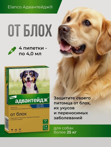Изображение товара Адвантейдж для собак массой более 25 кг, 4 пип