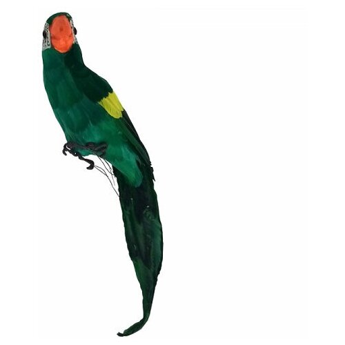 Попугай перьевой Пират большой пиратский на плечо, цвет зеленый, размер 45 см. Пиратская вечеринка. попугай перьевой 30 см игрушка попугай пиратская вечеринка пират