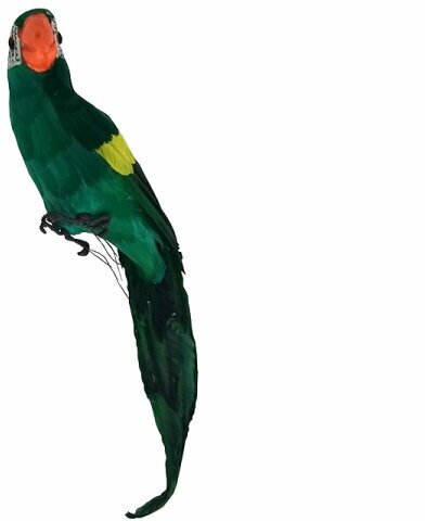 Попугай перьевой "Пират" большой пиратский на плечо, цвет зеленый, размер 45 см. Пиратская вечеринка.