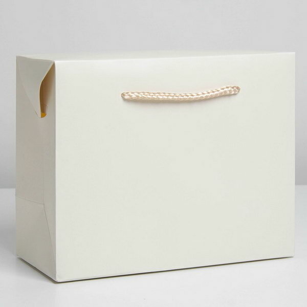 Пакет коробка, подарочная упаковка, "Белый", 28 x 20 x 13 см