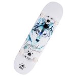 Электрический скейтборд Tempish Blue Wolf, 31x8 - изображение