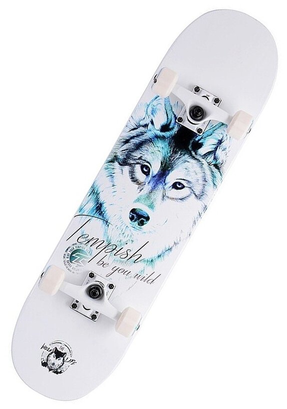 Скейтборд Tempish Blue Wolf