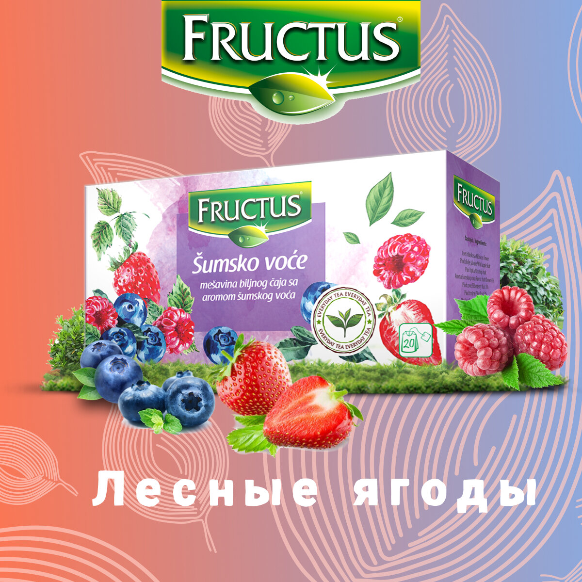 Чай в пакетиках FRUCTUS (Фруктус) Everyday Tea Forest Fruit Tea травяной с лесными ягодами, Сербия, 20 шт