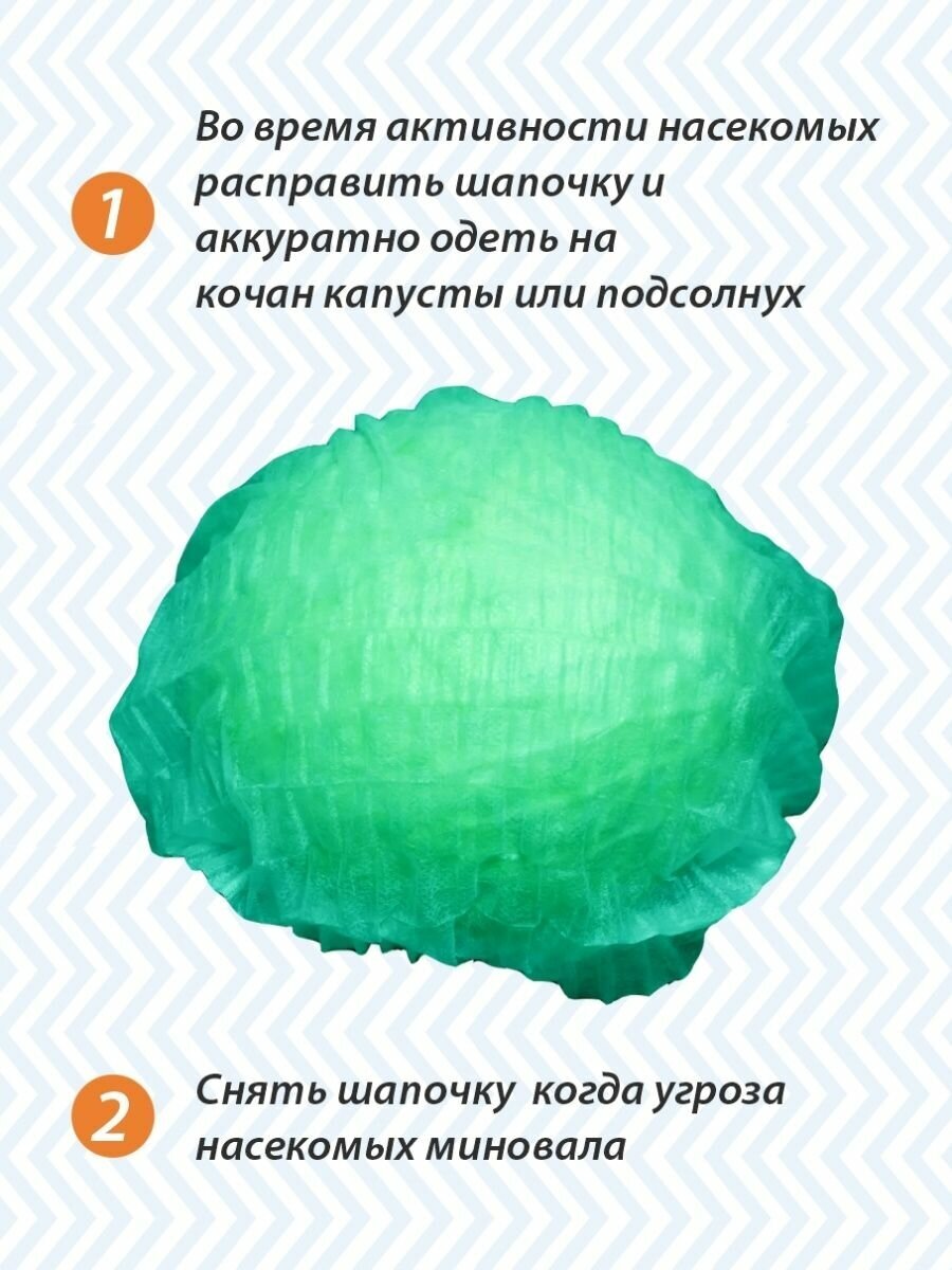 Шапочка Амарант для капусты и подсолнуха, зеленая 20 шт - фотография № 2