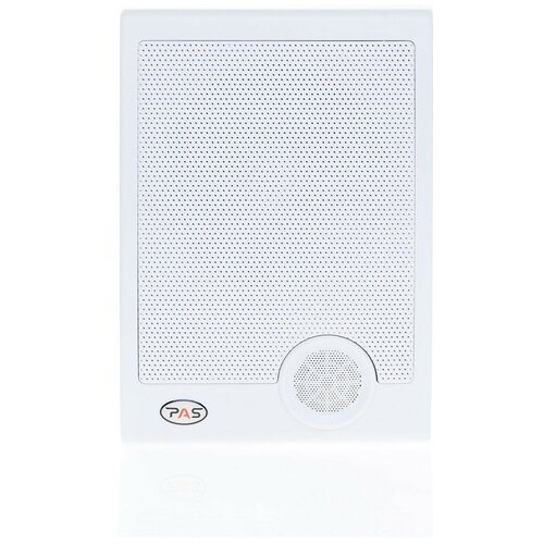 PASystem ROX-10 - настенный громкоговоритель 283800₽