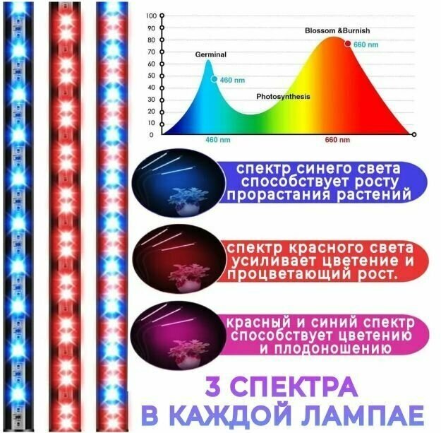 Лампа для растений, Фито лампа 2 головы полный спектр - фотография № 4