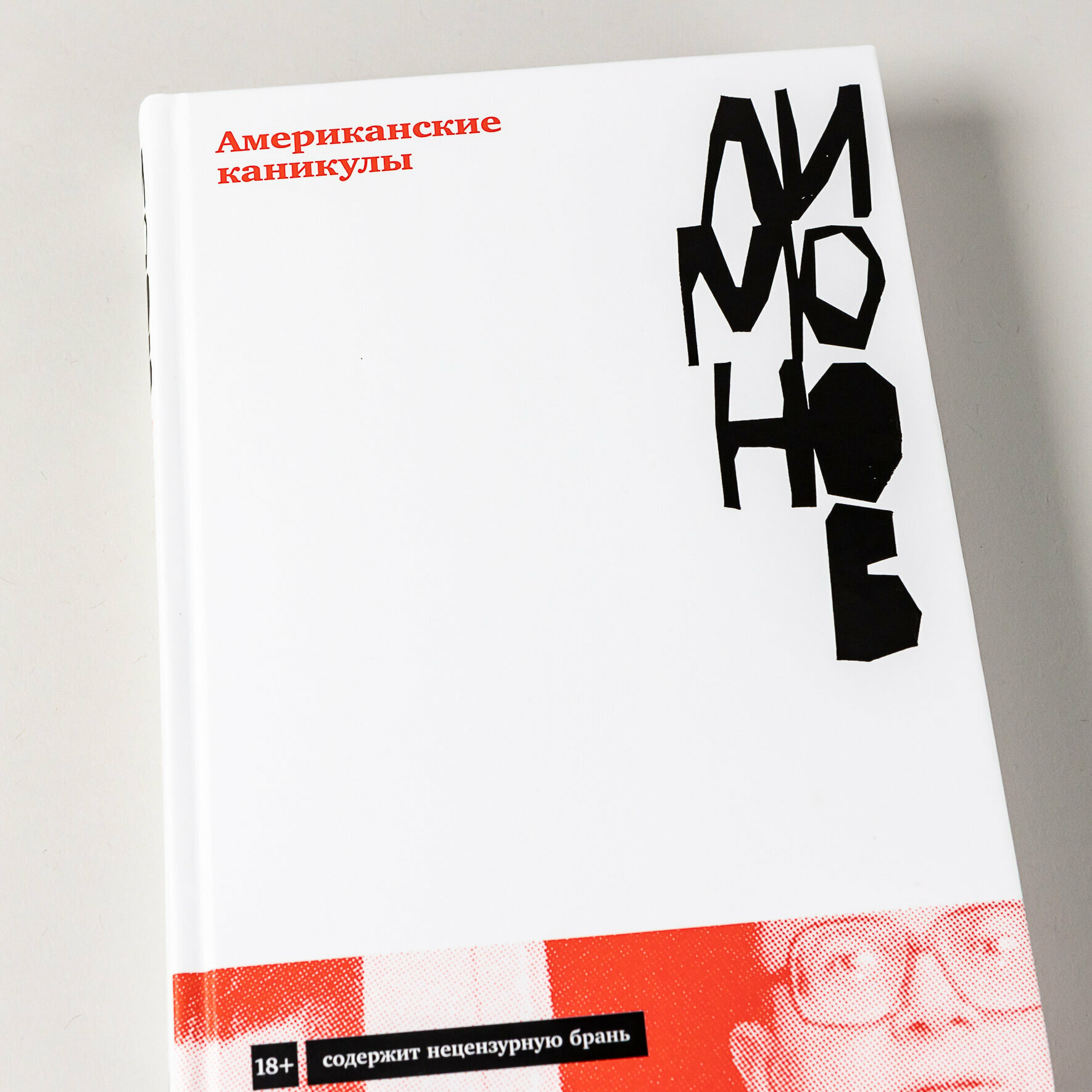 Американские каникулы (Лимонов Эдуард Вениаминович) - фото №6