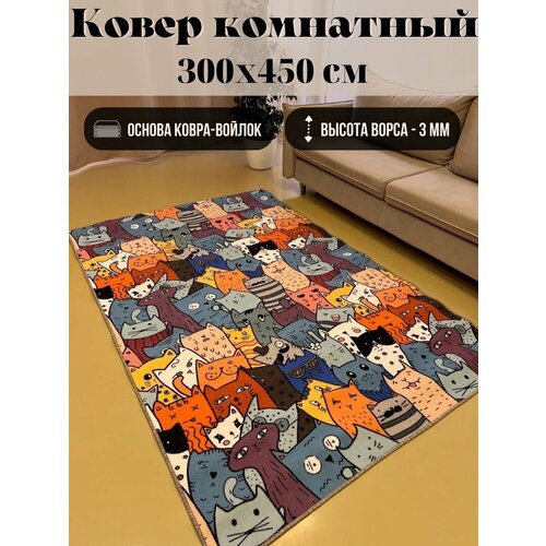 Ковер комнатный 300 х 450 палас на пол