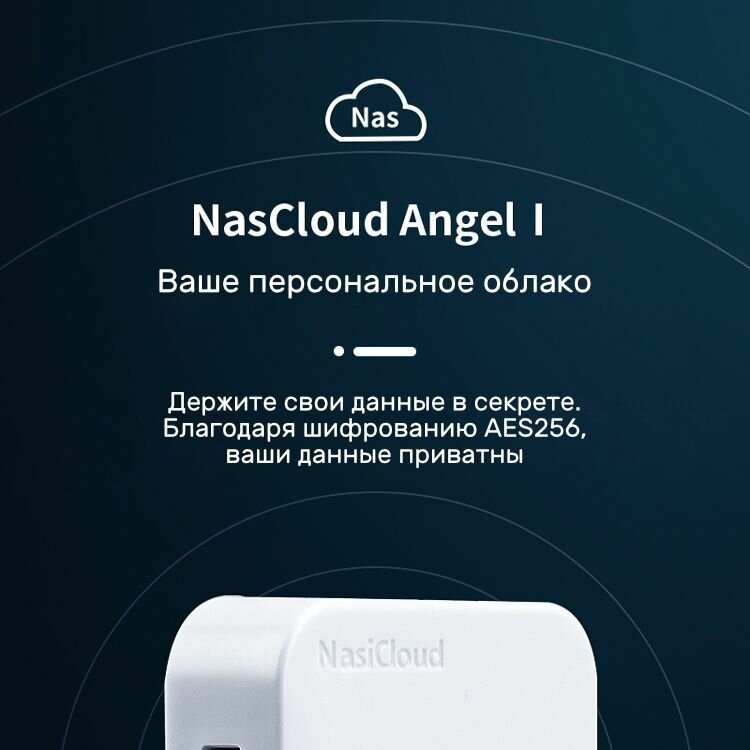 Сетевое хранилище (NAS) NasCloud Angel 1