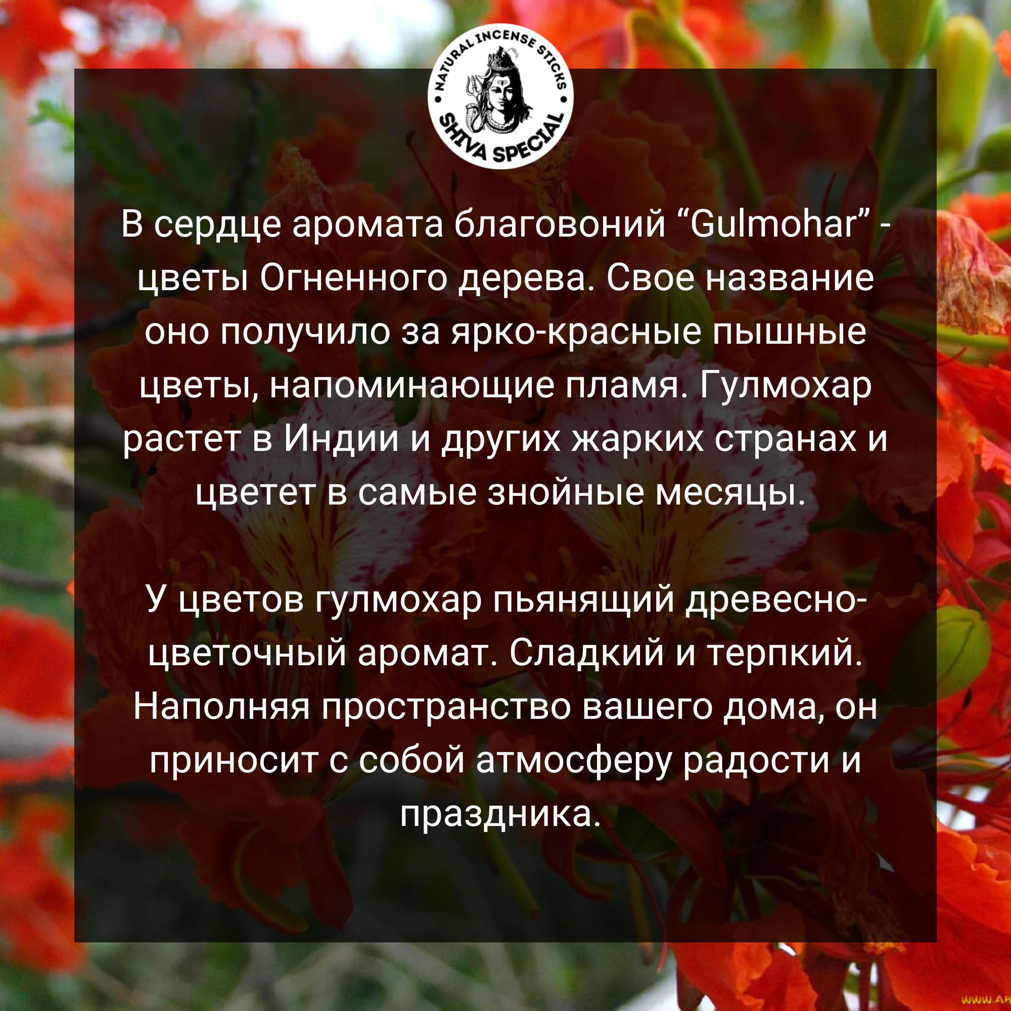 GULMOHAR индийские благовония-палочки (Shiva Special) — фото 1