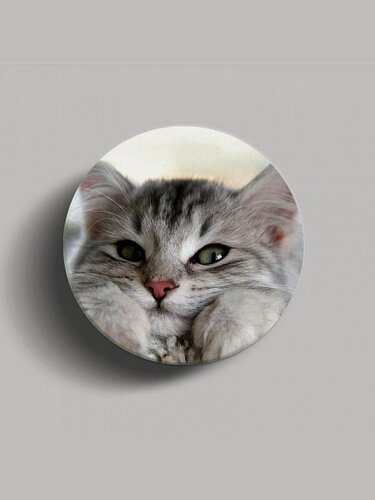 Изображение товара Попсокет - держатель для телефона "Котенок", подставка универсальная, глянцевый, пластик, серый