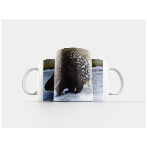 фото Кружка "дикобраз, грызун, зоопарк" 320 мл lotsprints
