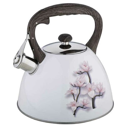 фото Чайник zeidan z-4218