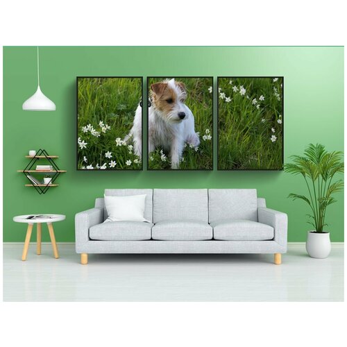 фото Набор модулных постеров для интерьера "домашняя собака, весна, собака" 60x90 см. в тубусе, без рамки lotsprints