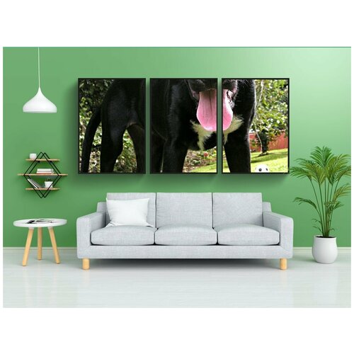 фото Набор модулных постеров для интерьера "лабрадор ретривер, щенок, лаборатория" 60x90 см. в тубусе, без рамки lotsprints