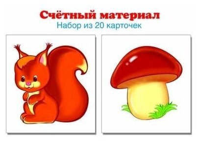 Счетный материал. Набор из 20 карточек (белочки, грибы) - фото №2