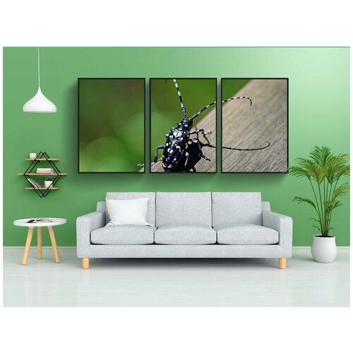 фото Набор модулных постеров для интерьера "аллак скай биф, ошибка, насекомые" 60x90 см. в тубусе, без рамки lotsprints