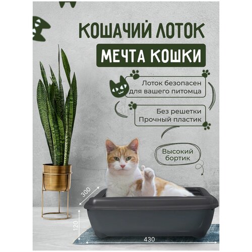 Кошачий лоток Мечта кошки Черный кошачий лоток мечта кошки серый