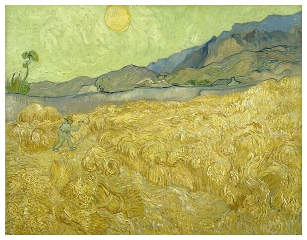 Репродукция на холсте Пшеничное поле (Wheat Field) Ван Гог Винсент 65см. x 50см.