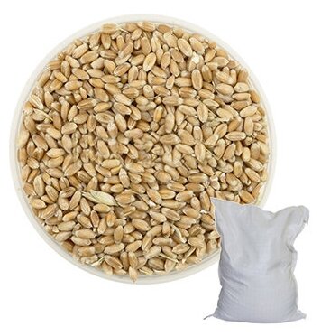 Пшеница, 8 кг