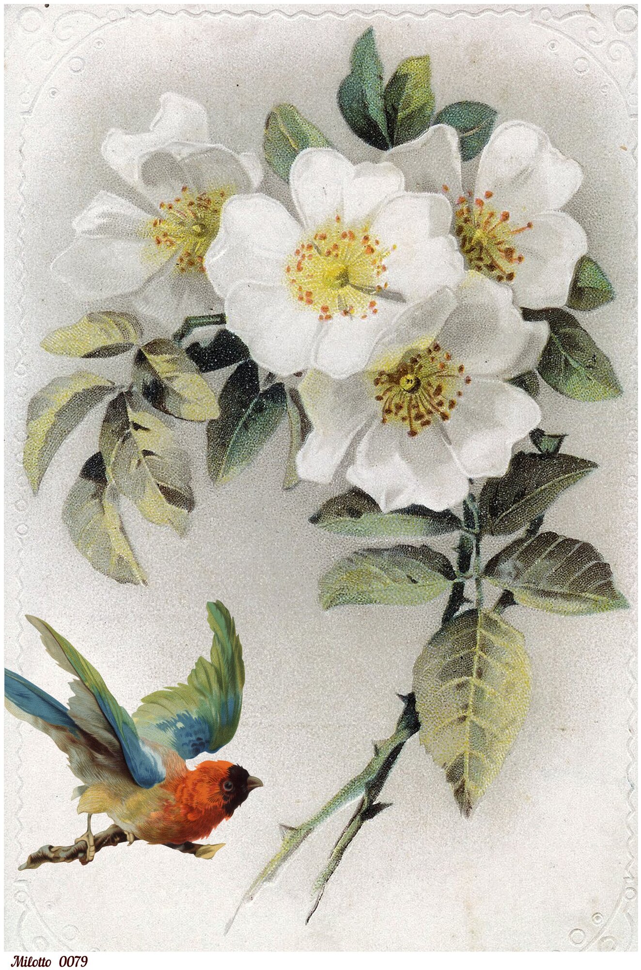 Рисовая бумага для декупажа А4 ультратонкая салфетка 0079 птицы цветы винтаж крафт Milotto