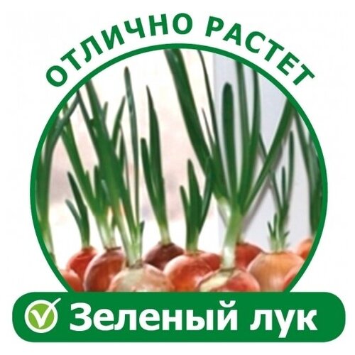 Zdorovya Klad X1 original проращиватель семян аэросад выращиватель зелёного лука гидропонный двухмодульный аэросад здоровья клад original 2 проращивателя семян