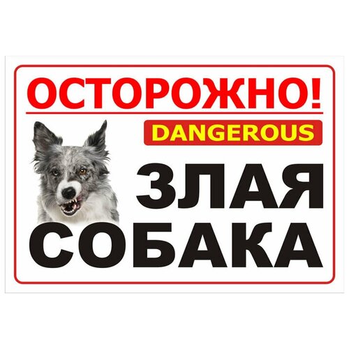 Табличка "Осторожно! Злая собака" 30х21см 1 шт