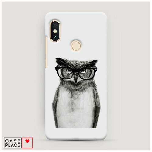фото Чехол пластиковый xiaomi redmi note 5/note 5 pro филин в очках case place