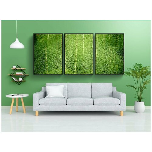 фото Набор модулных постеров для интерьера "хвощ, гигантский хвощ, зеленый" 60x90 см. в тубусе, без рамки lotsprints