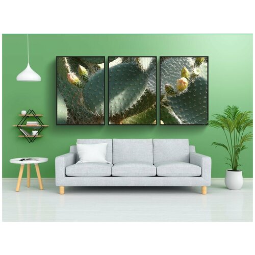 фото Набор модулных постеров для интерьера "опунция, опунция робуста, кактус" 60x90 см. в тубусе, без рамки lotsprints