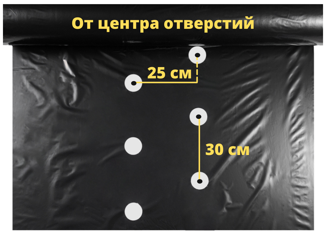 Пленка для клубники мульчирующая перфорация 25х30 см 1.3Х400м (S=520) - фотография № 2