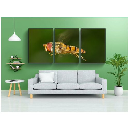 фото Набор модулных постеров для интерьера "насекомые, диптеро, эписирф" 60x90 см. в тубусе, без рамки lotsprints