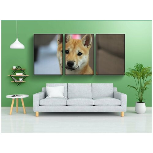 фото Набор модулных постеров для интерьера "собака, сиба ину, щенок" 60x90 см. в тубусе, без рамки lotsprints