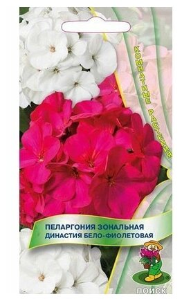 Семена Пеларгония зональная Династия Бело-фиолетовая 5 шт
