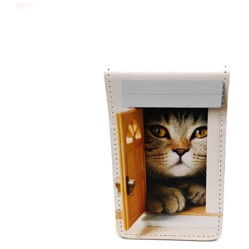 Обложка для визиток, натуральная кожа с фотопечатью , BB1, в подарочной коробке